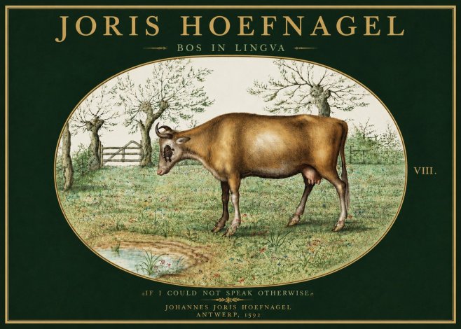 Joris Hoefnagel Bos in Lingva No5 - Póster