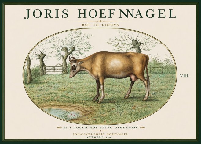 Joris Hoefnagel Bos in Lingva No6 - Póster