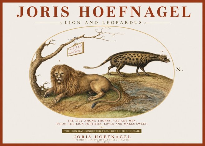 Joris Hoefnagel Lion and Spotted Hyena No4 - Póster