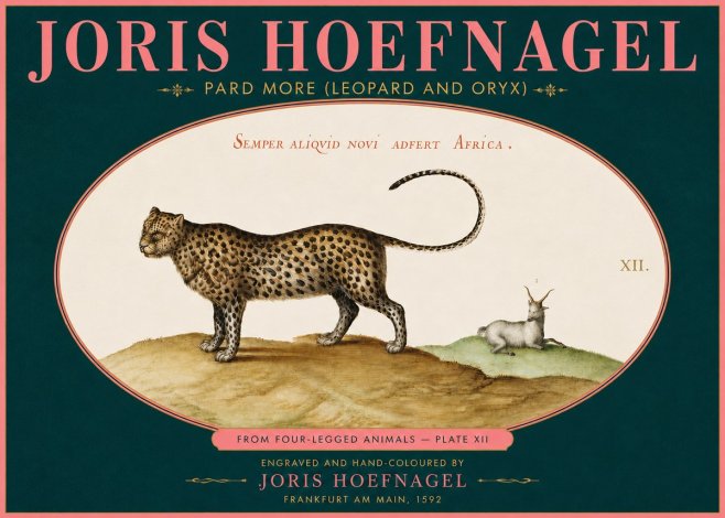 Joris Hoefnagel Pard More (Leopard and Oryx) No5 - Póster