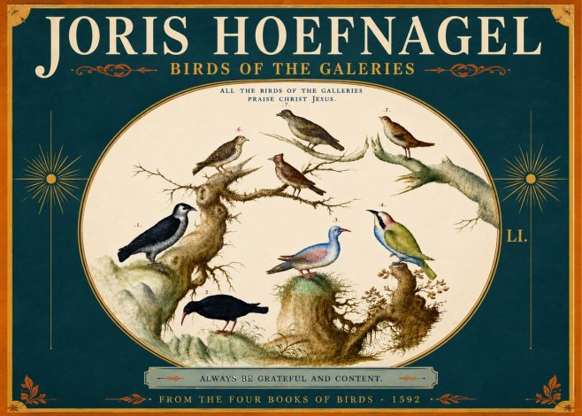 Joris Hoefnagel Birds of the Galeries No5 - Póster