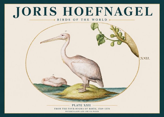 Joris Hoefnagel Plate Xxii No3 - Póster
