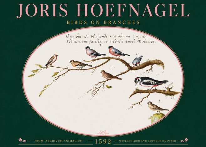 Joris Hoefnagel Birds on Branches No2 - Póster