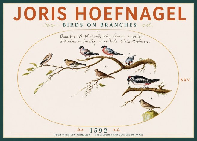 Joris Hoefnagel Birds on Branches No4 - Póster