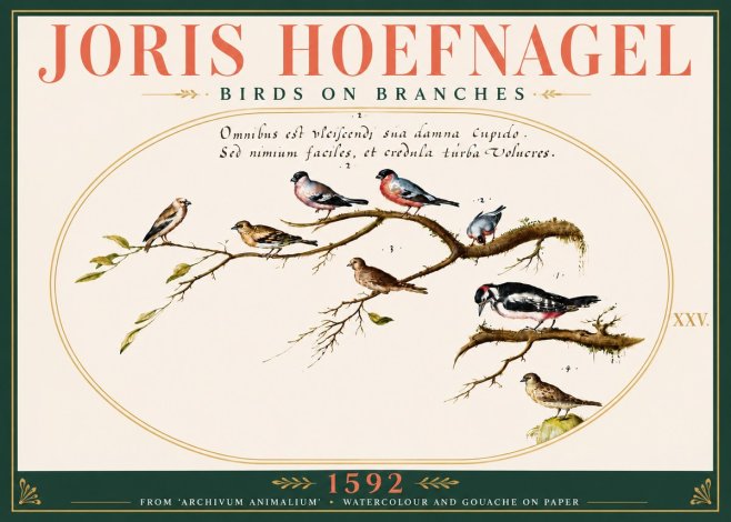 Joris Hoefnagel Birds on Branches No6 - Póster