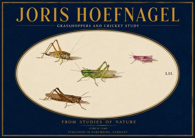 Joris Hoefnagel Three Grasshoppers and a Locust No4 - Póster