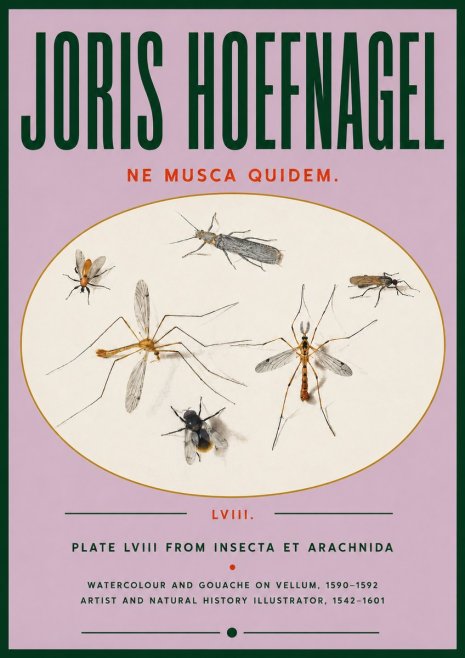 Joris Hoefnagel Plate Lviii from Insecta Et Arachnida No4 - Póster