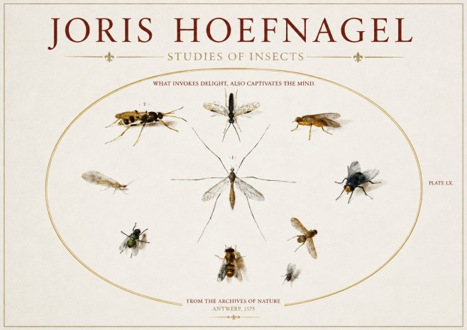Joris Hoefnagel Studies of Insects III No3 - Póster