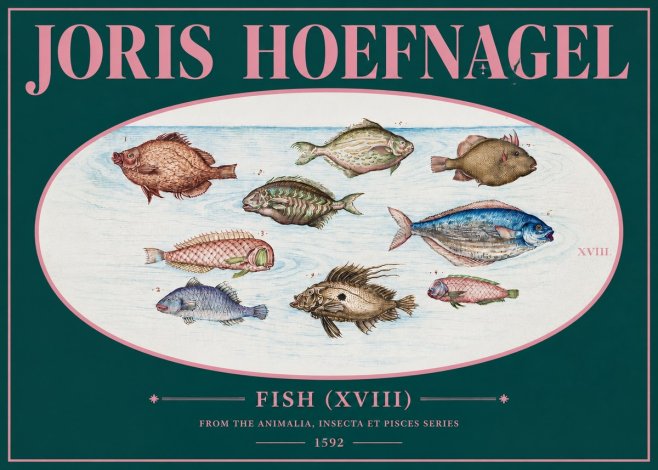 Joris Hoefnagel Studies of Fish I No3 - Póster