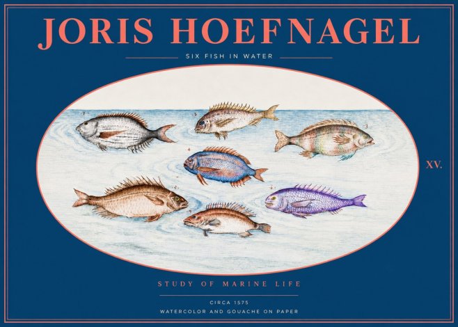 Joris Hoefnagel Six Fish in Water No2 - Póster