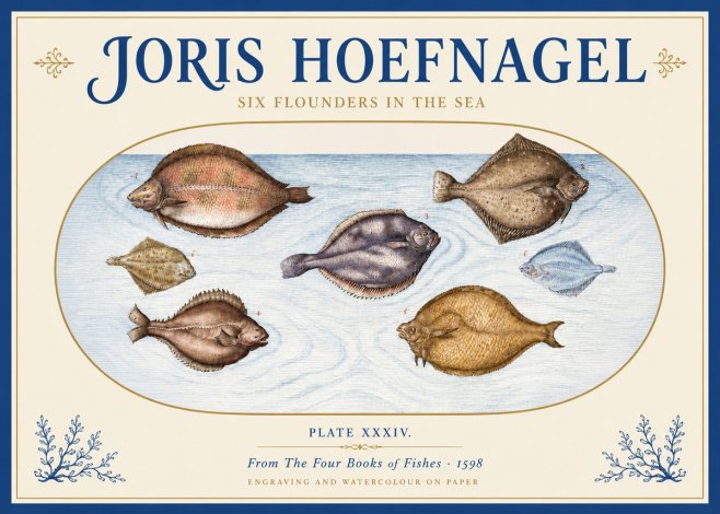 Joris Hoefnagel Six Flounders in the Sea No3 - Póster