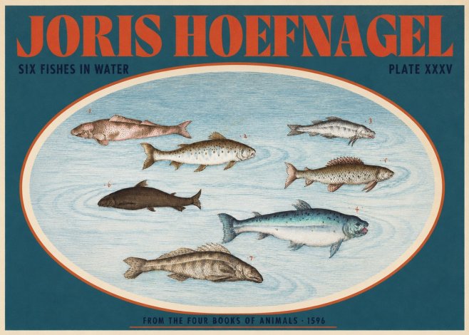 Joris Hoefnagel Six Fishes in Water I No2 - Póster