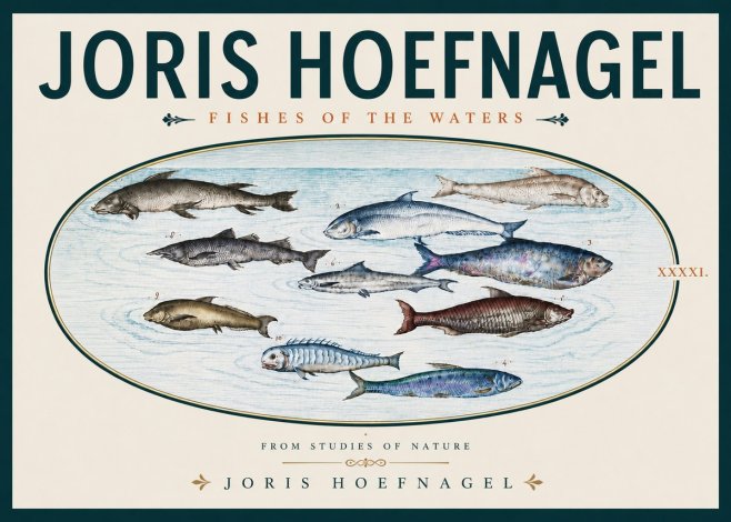 Joris Hoefnagel Fishes of the Waters II No5 - Póster