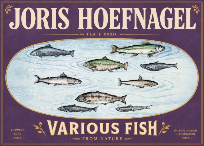Joris Hoefnagel Various Fish from Nature No6 - Póster