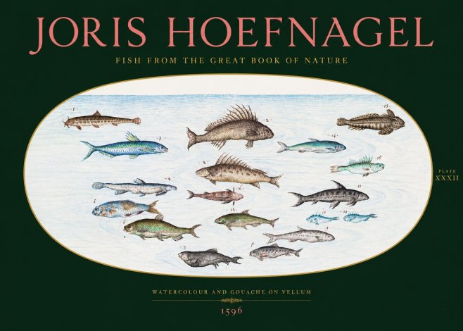 Joris Hoefnagel Fish from the Great Book of Nature No2 - Póster