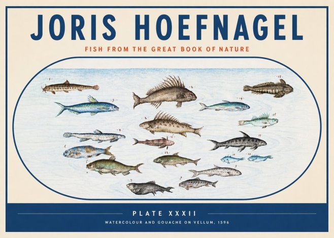 Joris Hoefnagel Fish from the Great Book of Nature No3 - Póster