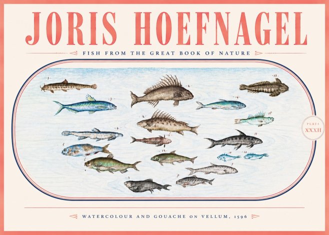 Joris Hoefnagel Fish from the Great Book of Nature No5 - Póster