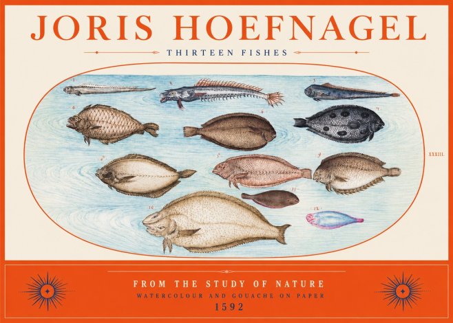 Joris Hoefnagel Thirteen Fishes from the Study of Nature No2 - Póster
