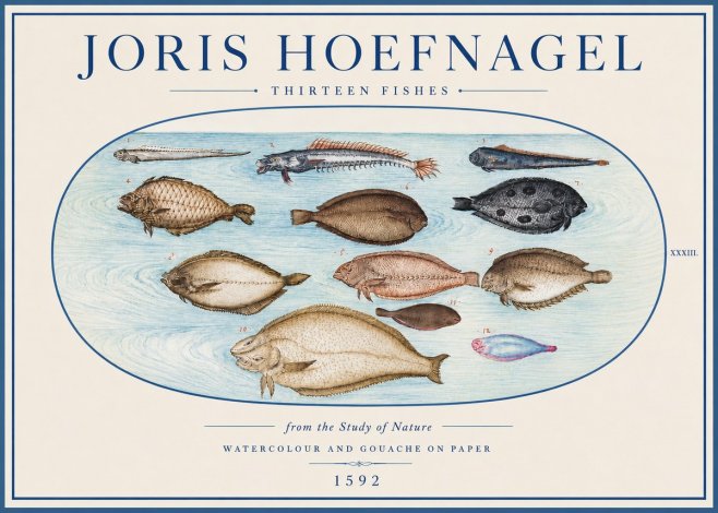 Joris Hoefnagel Thirteen Fishes from the Study of Nature No4 - Póster