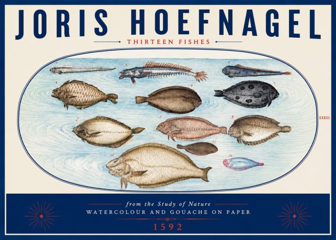 Joris Hoefnagel Thirteen Fishes from the Study of Nature No6 - Póster