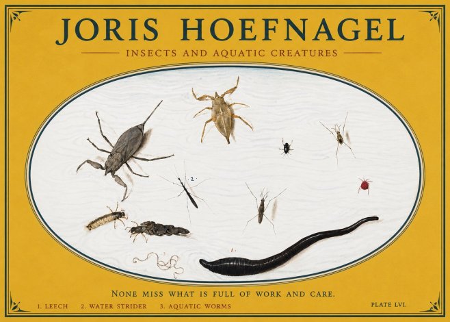 Joris Hoefnagel Insects and Aquatic Creatures No3 - Póster