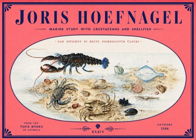Joris Hoefnagel Marine Study with Crustaceans and Shellfish No4 - Póster