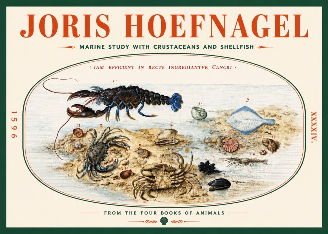 Joris Hoefnagel Marine Study with Crustaceans and Shellfish No5 - Póster