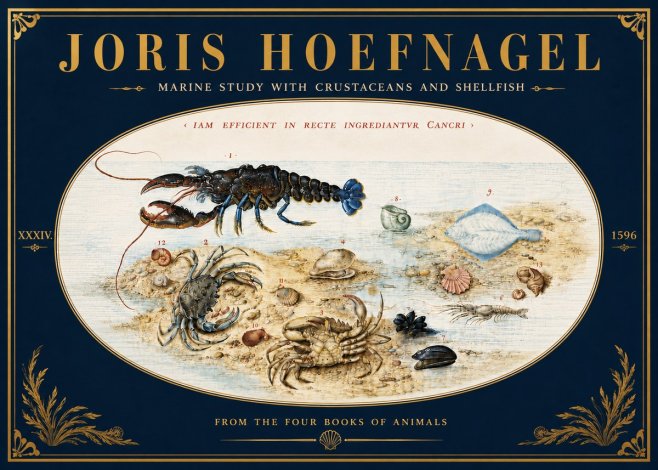 Joris Hoefnagel Marine Study with Crustaceans and Shellfish No6 - Póster
