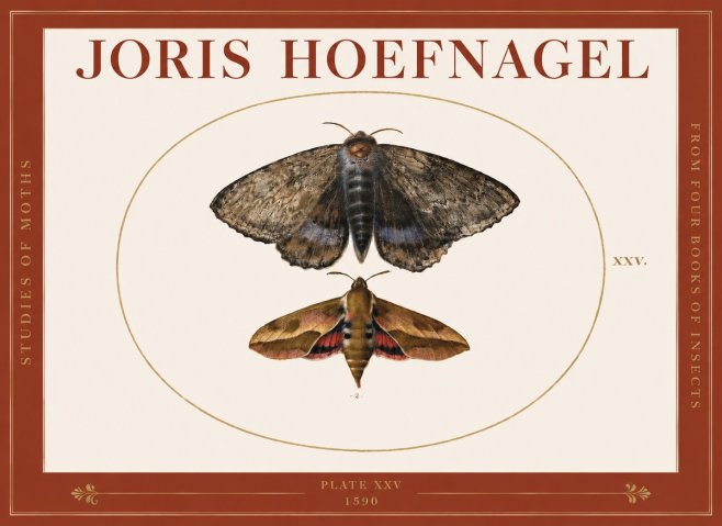 Joris Hoefnagel Studies of Moths I No3 - Póster