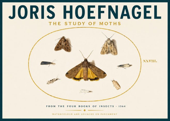 Joris Hoefnagel Study of Moths and Insects No6 - Póster
