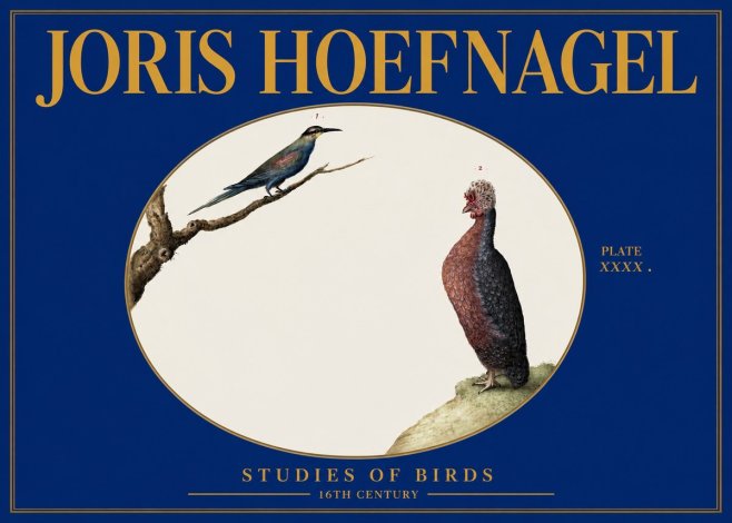 Joris Hoefnagel Studies of Birds I No3 - Póster