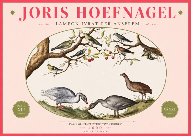 Joris Hoefnagel Lampon Ivrat per Anserem No4 - Póster