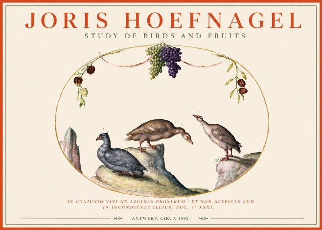 Joris Hoefnagel Three Birds with Grapes and Inscription No4 - Póster
