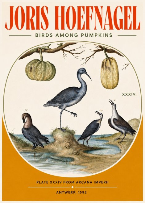 Joris Hoefnagel Birds and Fruits No4 - Póster