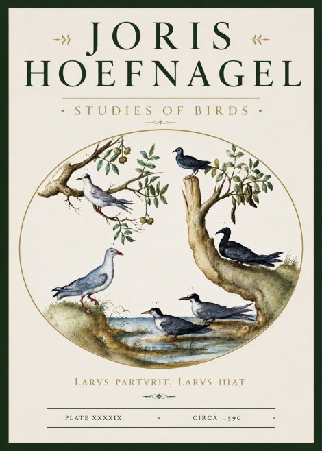 Joris Hoefnagel Studies of Birds II No3 - Póster