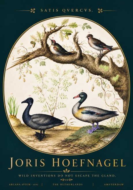 Joris Hoefnagel Satis Quercus. Birds of the Marsh No4 - Póster