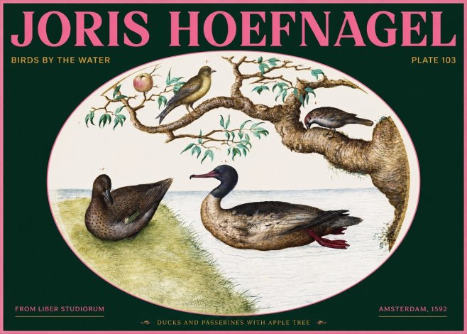 Joris Hoefnagel Ducks and Passerines with Apple Tree No2 - Póster