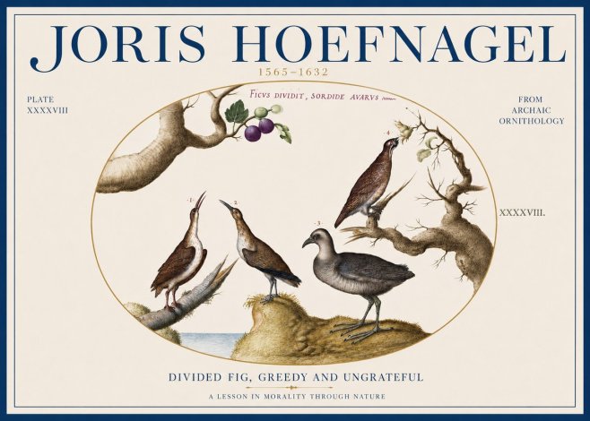 Joris Hoefnagel Birds from the Four Parts of the World No4 - Póster