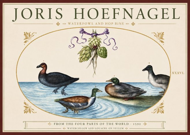 Joris Hoefnagel Waterfowl and Hop Bine No3 - Póster