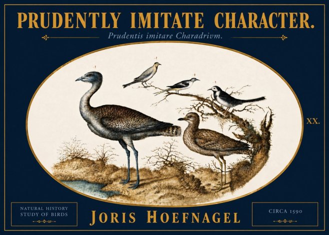 Joris Hoefnagel Prudently Imitate Character. No5 - Póster