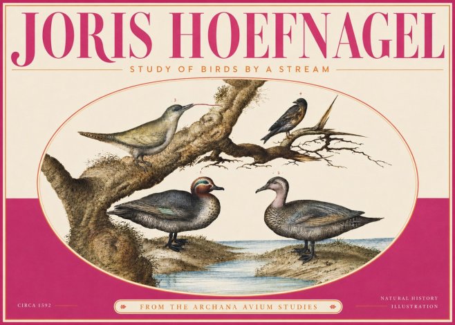 Joris Hoefnagel Study of Birds by a Stream No4 - Póster