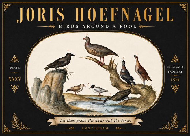 Joris Hoefnagel Birds Around a Pool No6 - Póster