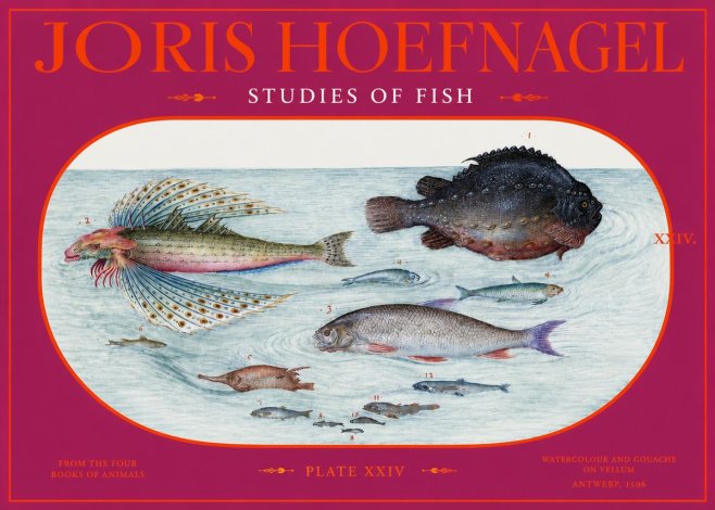 Joris Hoefnagel Studies of Fish II No2 - Póster