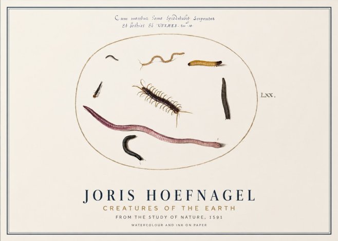 Joris Hoefnagel Creatures of the Earth II No1 - Póster