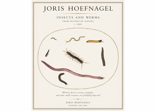 Joris Hoefnagel Creatures of the Earth II No5 - Póster