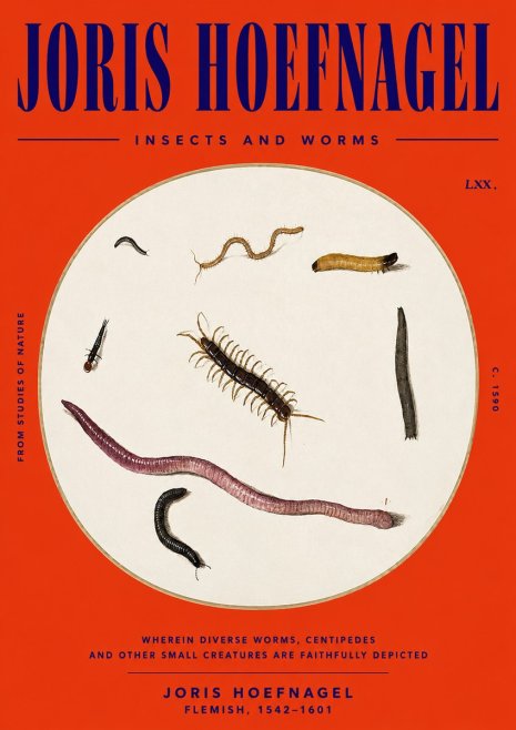 Joris Hoefnagel Creatures of the Earth II No6 - Póster