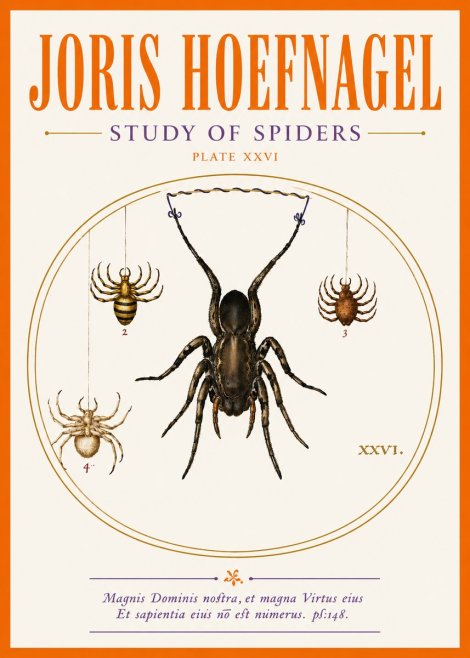 Joris Hoefnagel Study of Spiders No5 - Póster