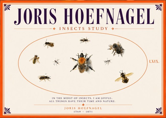 Joris Hoefnagel Insects Study II No5 - Póster