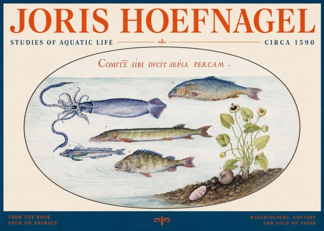 Joris Hoefnagel Comitẽ Sibi Ducit Sepia Percam. No2 - Póster
