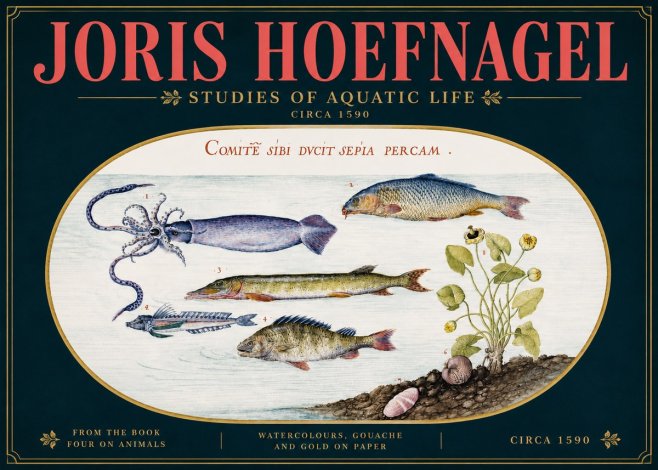 Joris Hoefnagel Comitẽ Sibi Ducit Sepia Percam. No5 - Póster